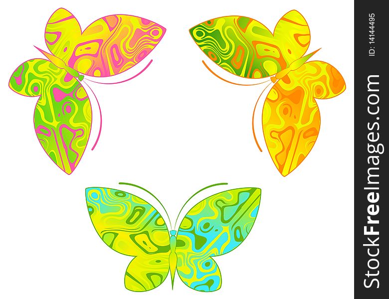 Tropical Butterfly