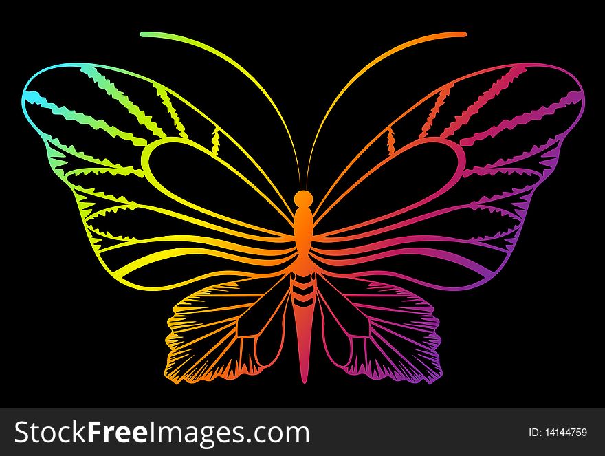 Abstract Tropical Butterfly. Beautiful illustration