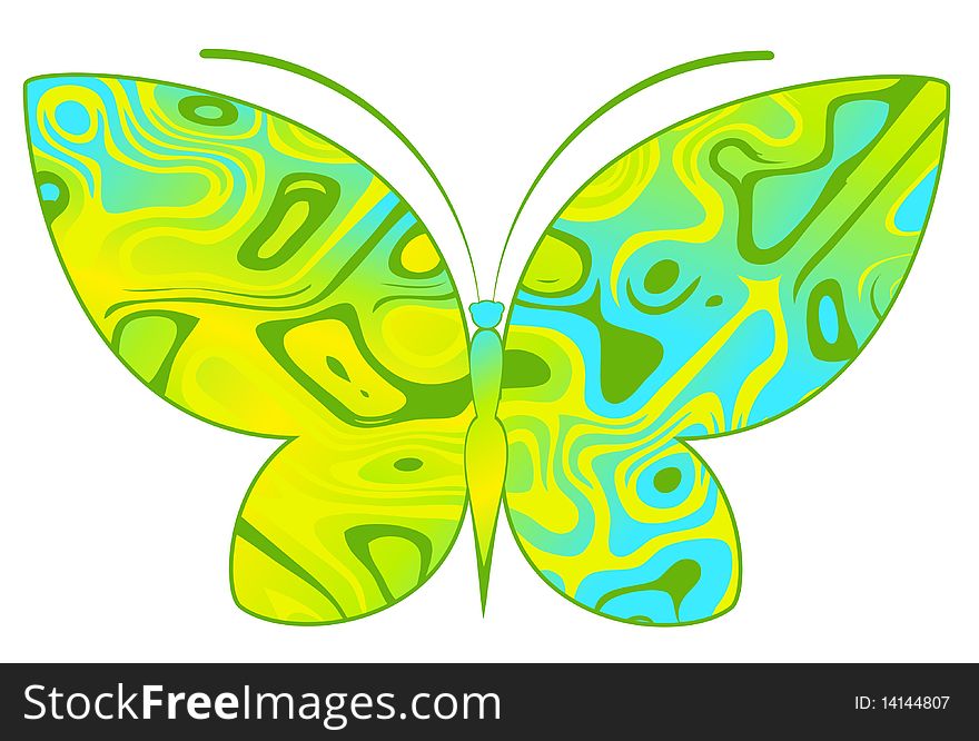 Tropical Butterfly