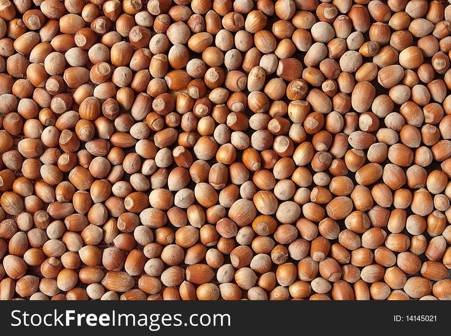 Background of raw brown hazelnut. Background of raw brown hazelnut