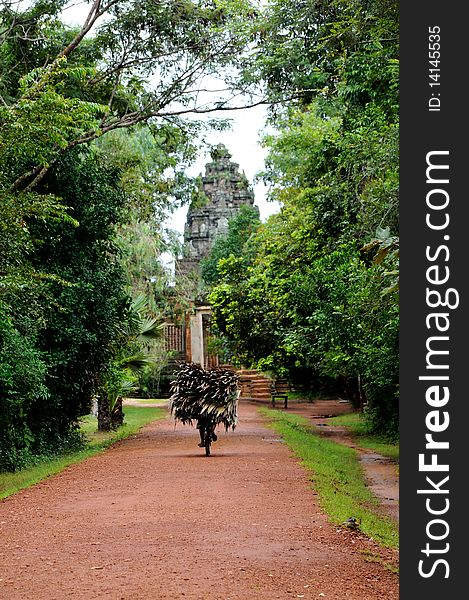 Secondary road path with green trees, Cambodia