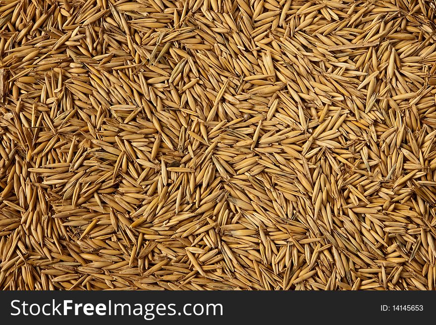 Background of dry yellow seeds. Background of dry yellow seeds