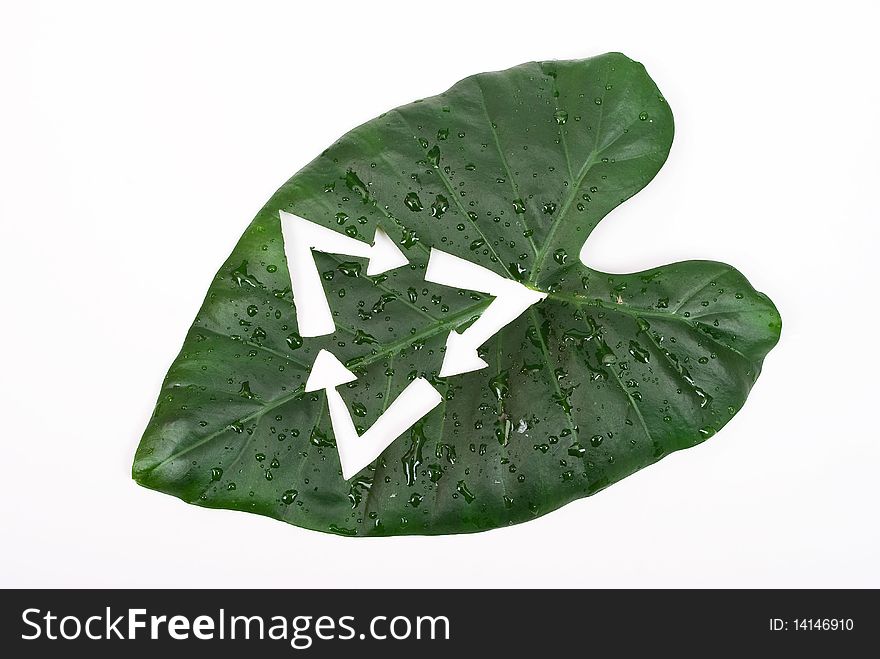 Green leaf with recycle sign