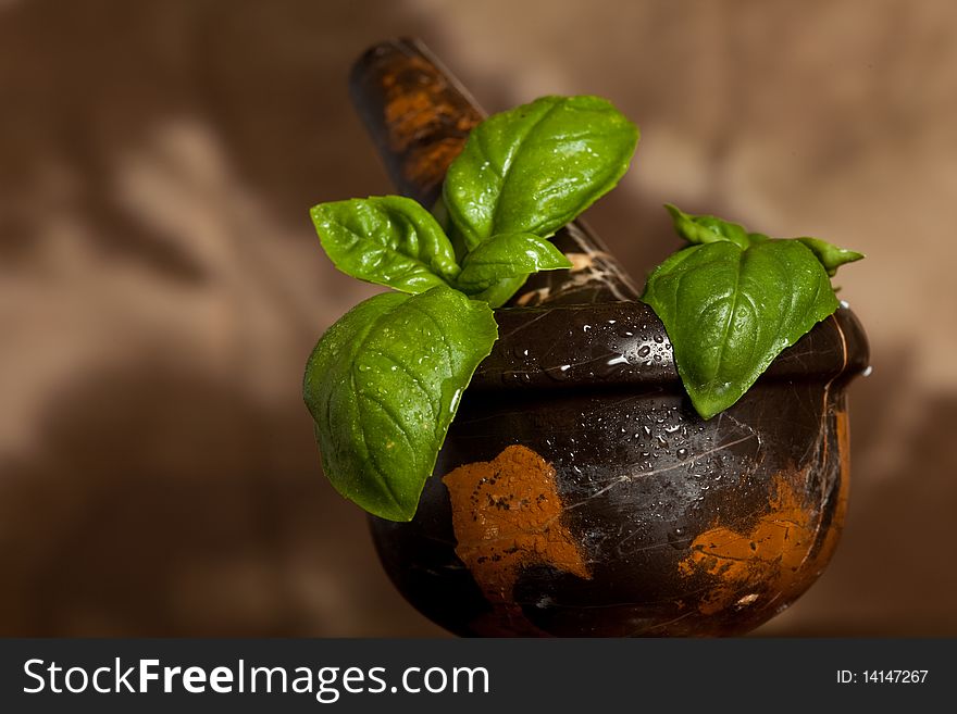 Photo of fresh green basil with waterdrops. Photo of fresh green basil with waterdrops