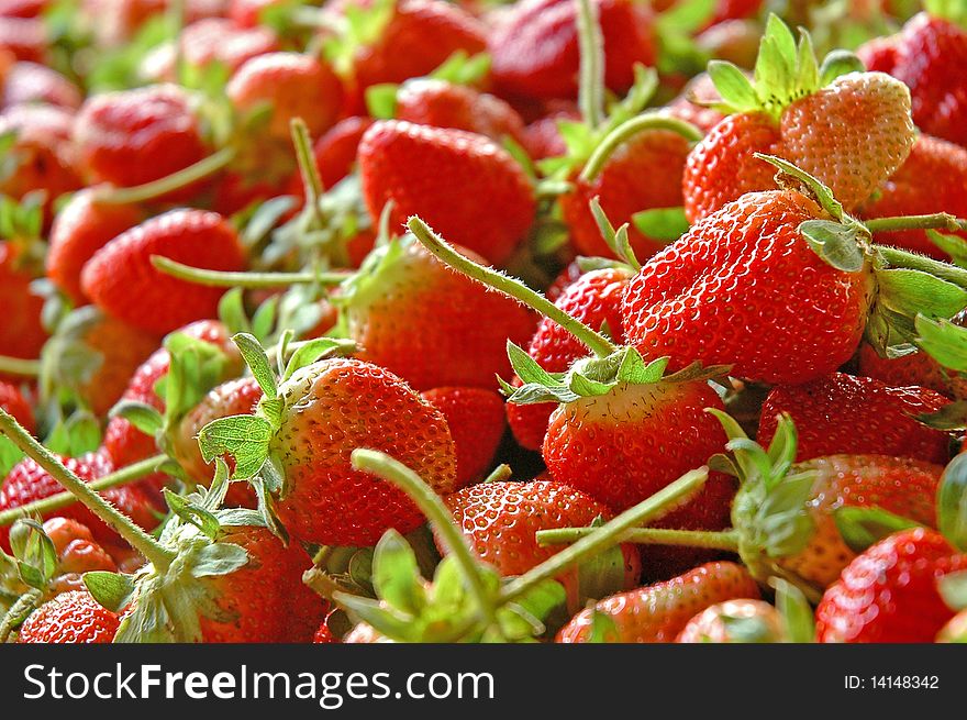 Group of strawberry