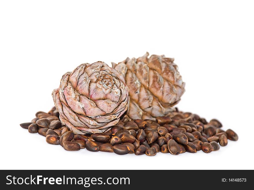 Cedar nutlets on a white background