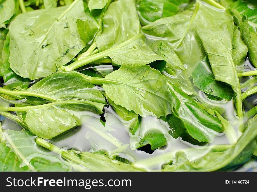 Green Leafy Vegetables In Water