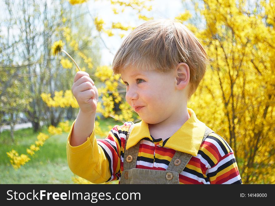 The little boy with a yellow flower. The little boy with a yellow flower