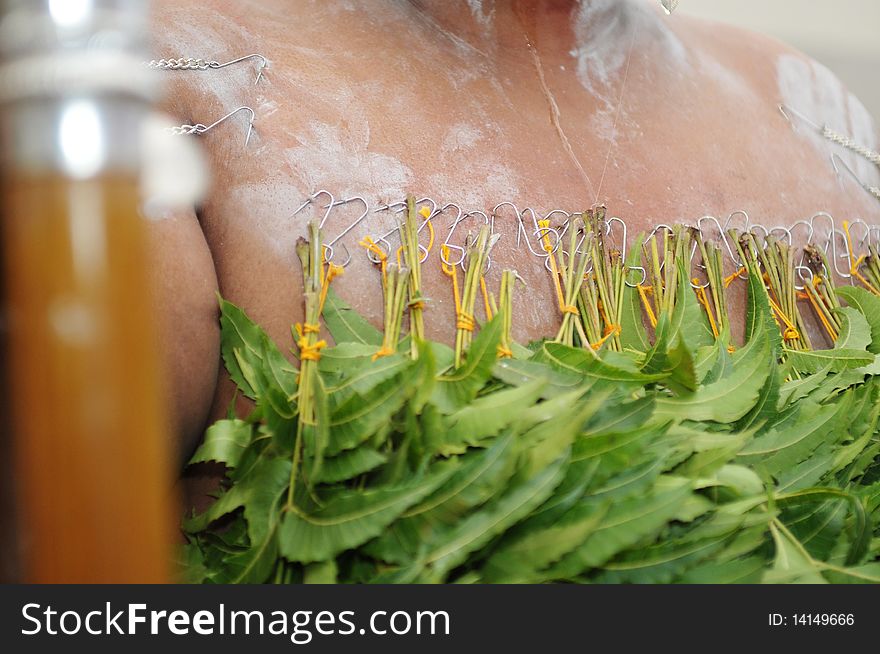 Hanging of leaf on the body. Hanging of leaf on the body