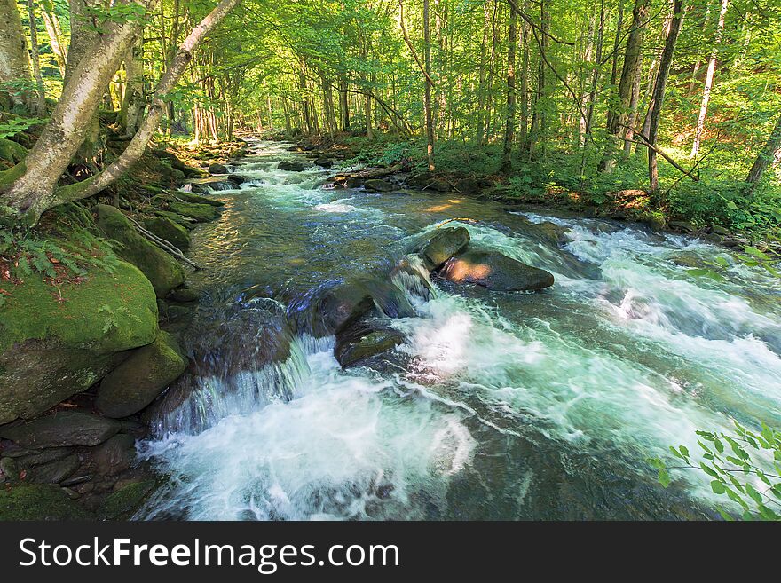 Cascades on the forest river in springtime