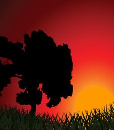 Silhouette Of A Tree Against A Sunset Royalty Free Stock Images Silhouette Of A Tree Against A Sunset Royalty Free Stock Images