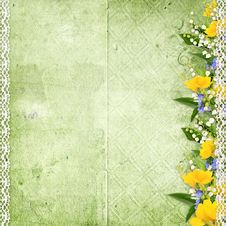 Green Background With Spring Flowers Stock Photos