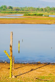 Loneliness Royalty Free Stock Photography Loneliness Royalty Free Stock Photography