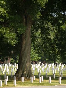 Arlington National Cemetery Royalty Free Stock Image