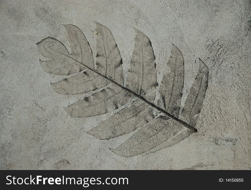 Concrete pattern  a leaf is dry