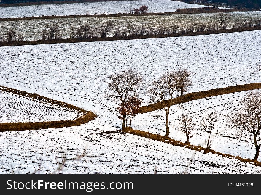 Landscape at winter in Northern Germany