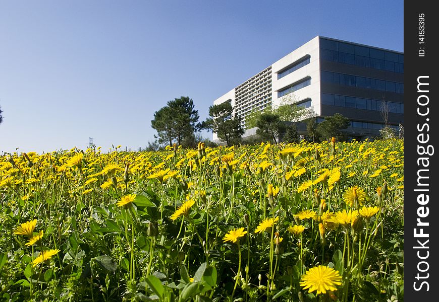 Spring in the country side of Catalonia, Spain. Spring in the country side of Catalonia, Spain