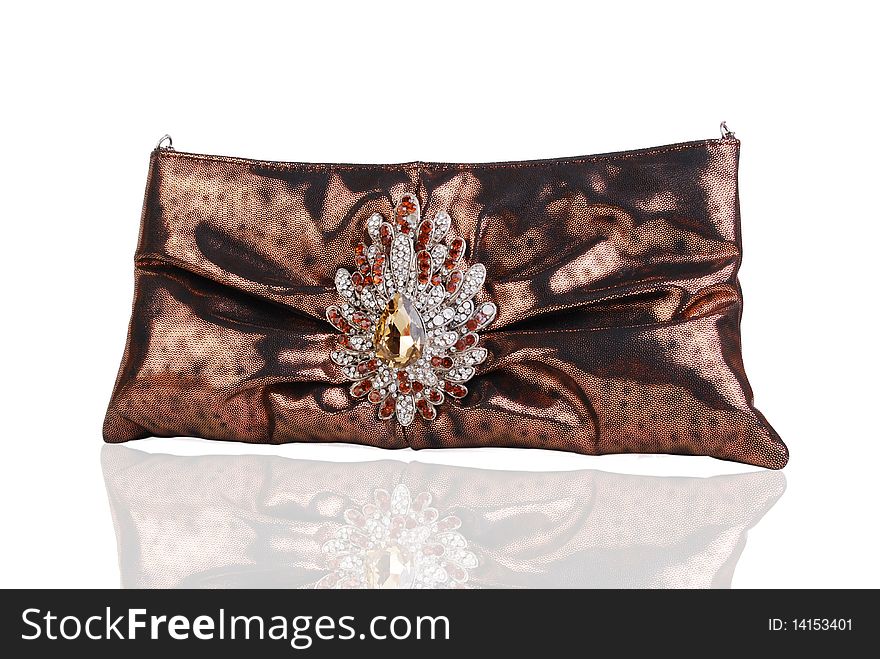 This is a beautiful ladies fancy clutch purse isolated on a white background.