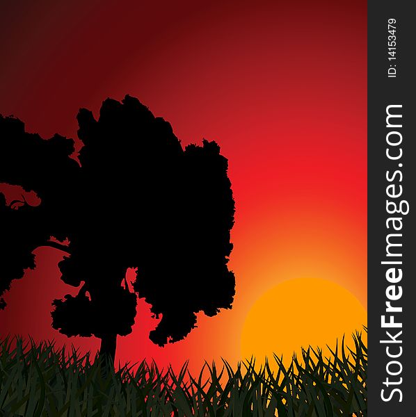 Silhouette of a tree against a sunset. Vector illustration