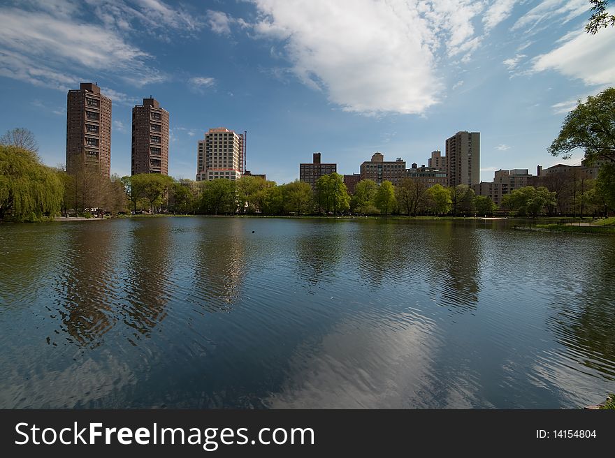 I took this picutre on a sunny day in the Central Park NYC with a ultra wide angle lens. I took this picutre on a sunny day in the Central Park NYC with a ultra wide angle lens.