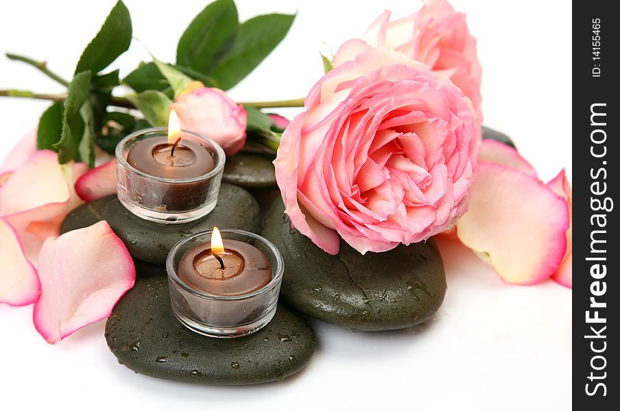 Rose and candles on a white background