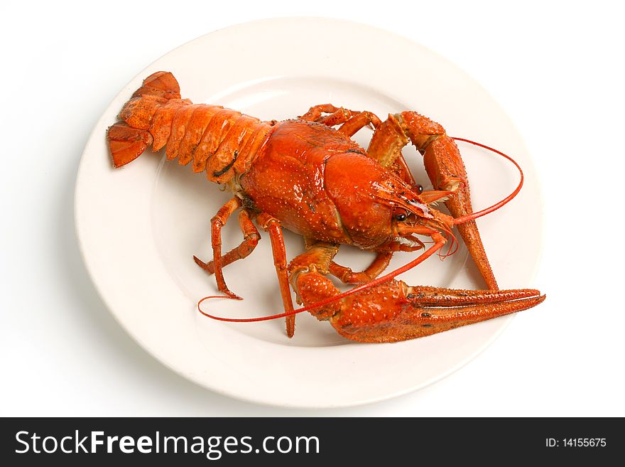 Boiled crawfish on white plate on white background