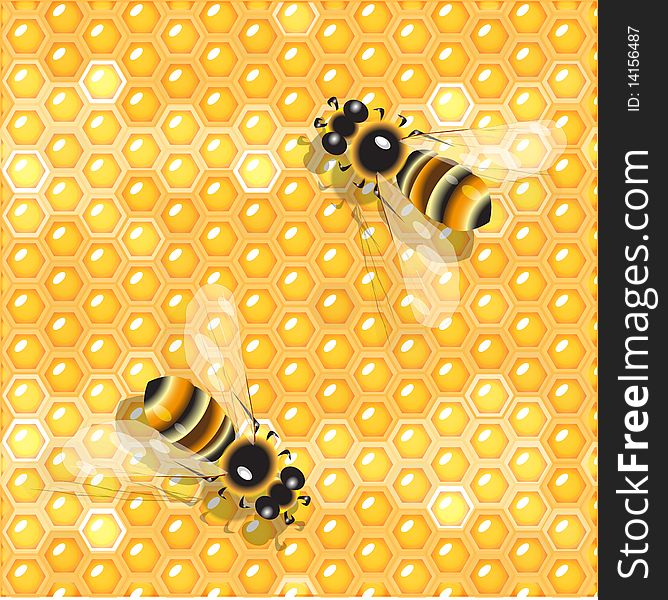 Illustration, two bees on honeycomb with honey. Illustration, two bees on honeycomb with honey