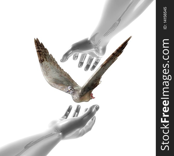 Peaceful dove and hands symbol 3d illustration