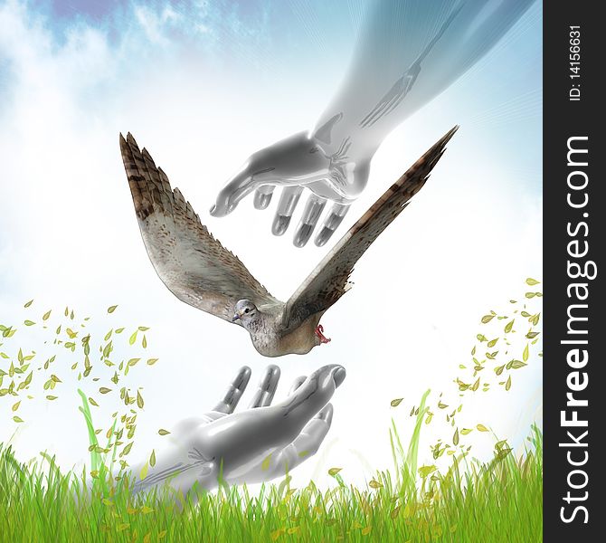 Hands catching dove for peace symbol 3d illustration