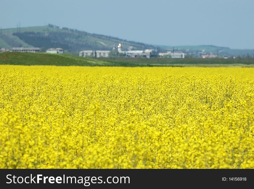 Spring agricultural field - fuel material. Spring agricultural field - fuel material