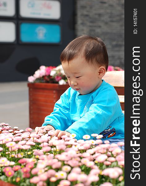 Cute baby boy with flowers