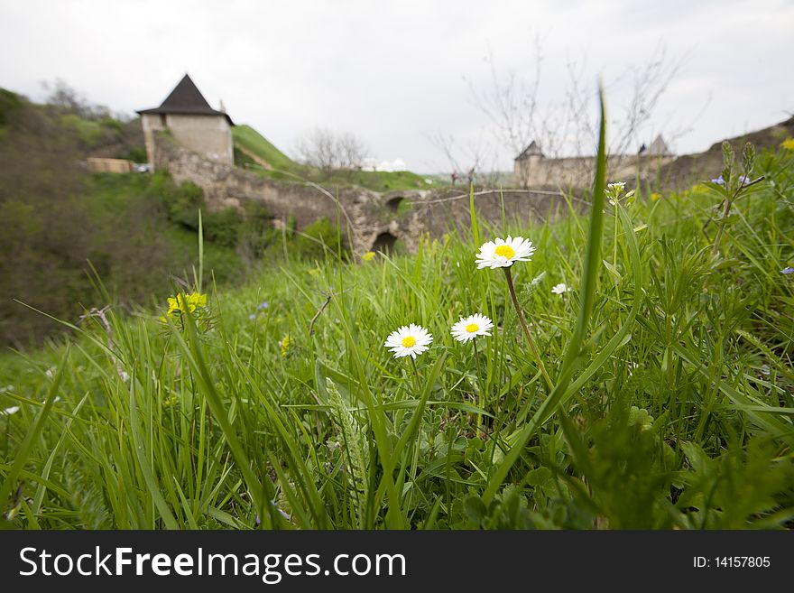 Medieval outdoor landscape. Field flowers on green grass against castle wall. Medieval outdoor landscape. Field flowers on green grass against castle wall
