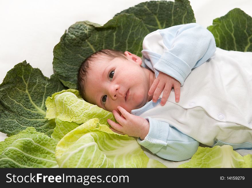 Baby newborn is in cabbage leaves