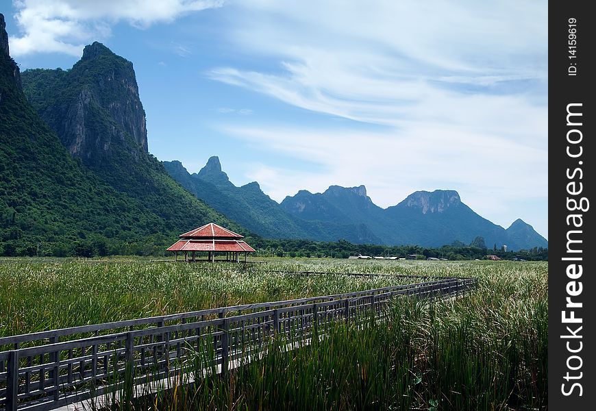 Lake Central wooden bridge. Filled with grass. Sam Roi Yod National Park.