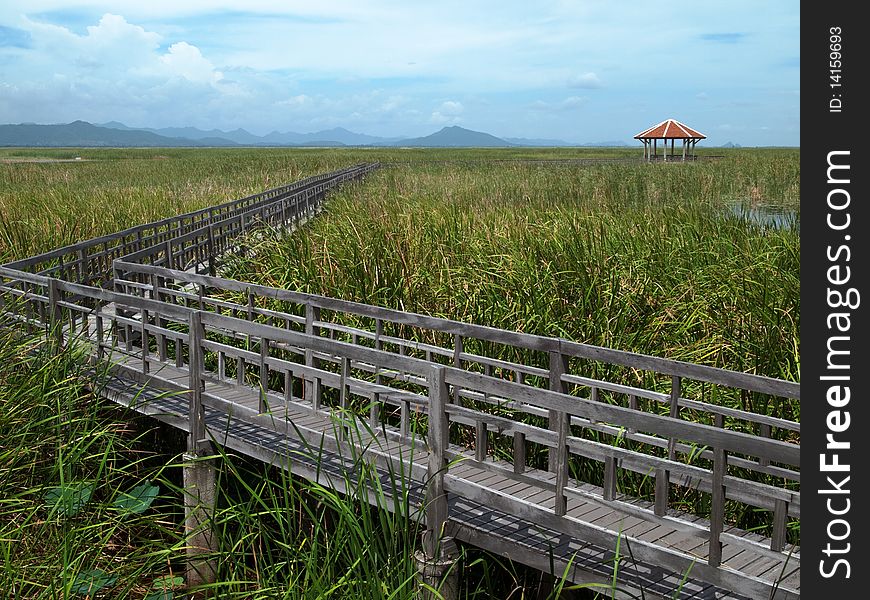 Lake Central wooden bridge. Filled with grass. Sam Roi Yod National Park.