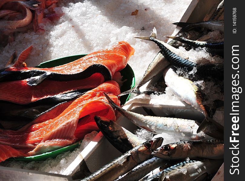 Salmon on display at market fish, Paris. Salmon on display at market fish, Paris