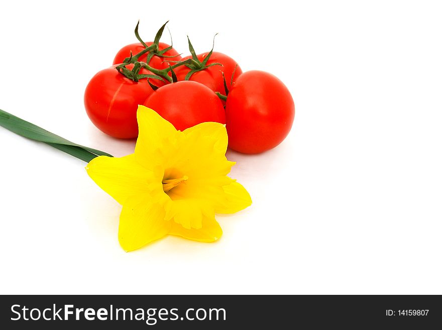 Yellow daffodil and tomatoes a white background