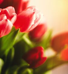Brighten Up Your Day With Flowers Stock Photography