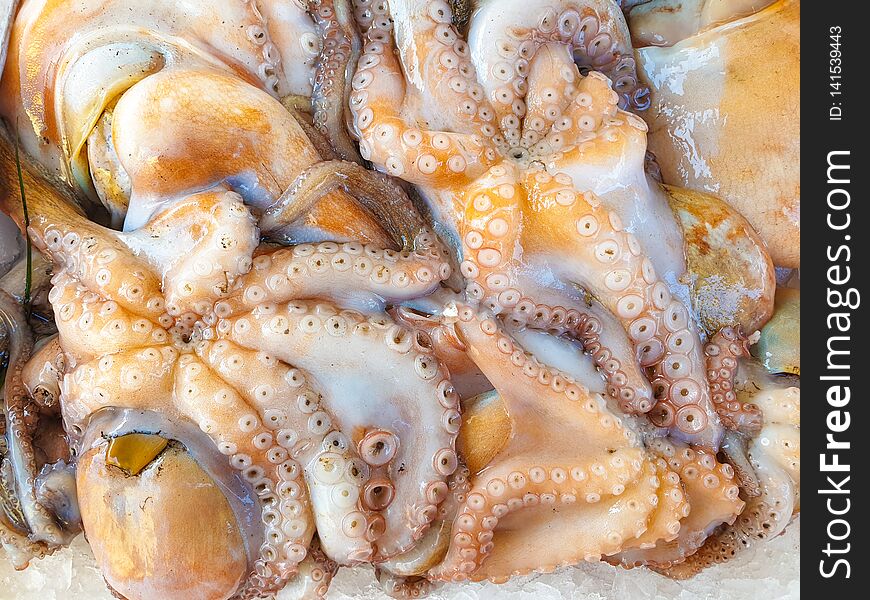 Fresh Octopus on ice for sale, Fish local market stall with fresh seafood. Fresh Octopus on ice for sale, Fish local market stall with fresh seafood