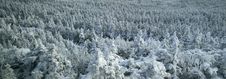 Winter Time Royalty Free Stock Photo Winter Time Royalty Free Stock Photo