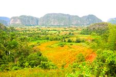 Vinales Valley Royalty Free Stock Images