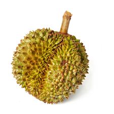 Durian. Giant Tropical Fruit. Royalty Free Stock Photos Durian. Giant Tropical Fruit. Royalty Free Stock Photos