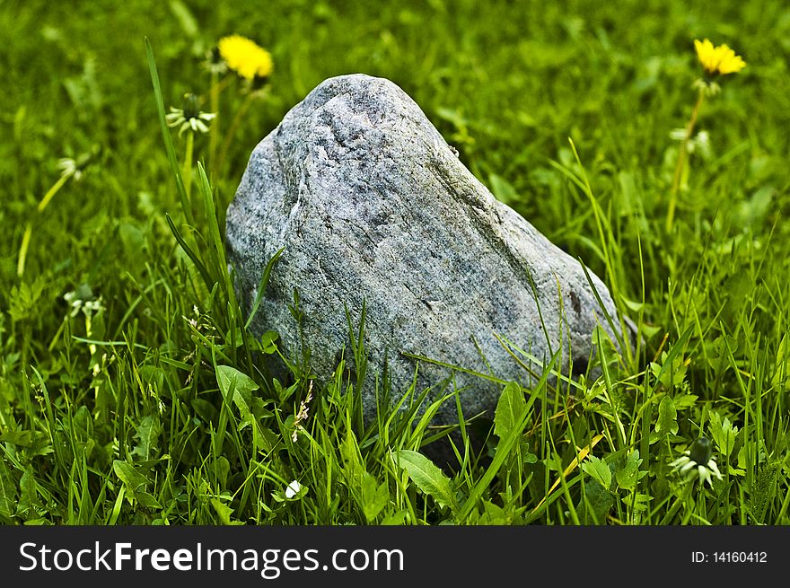 Big stone between green grass. Big stone between green grass