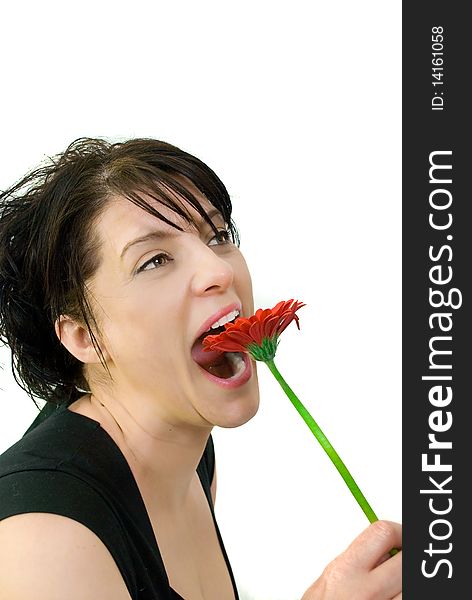 A woman holding a gerbera daisy to her mouth. A woman holding a gerbera daisy to her mouth.