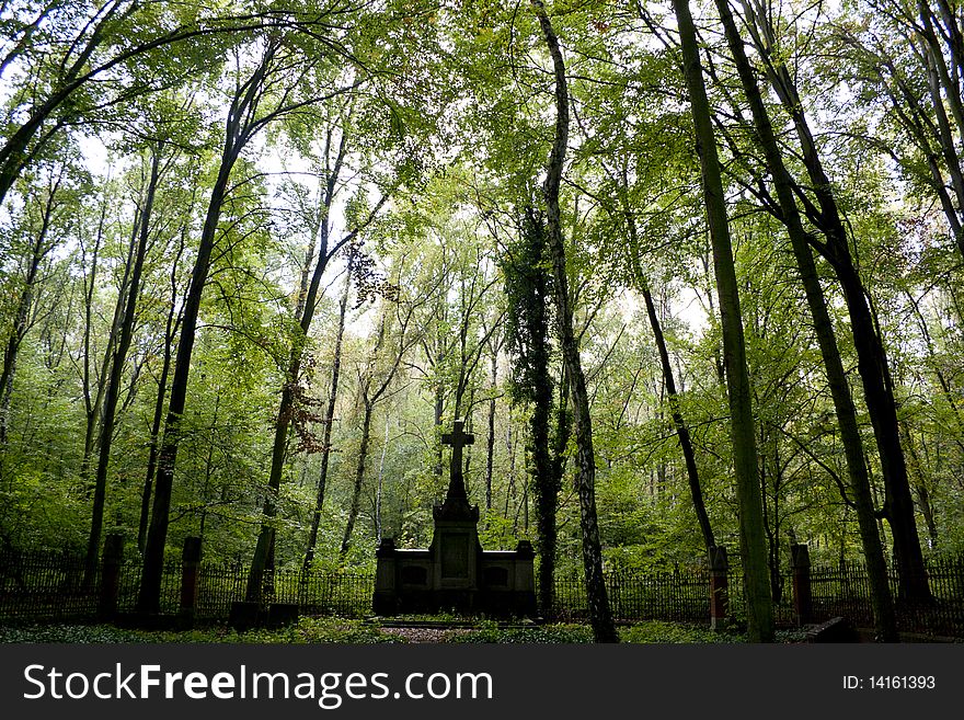 Old cemetery in a forest