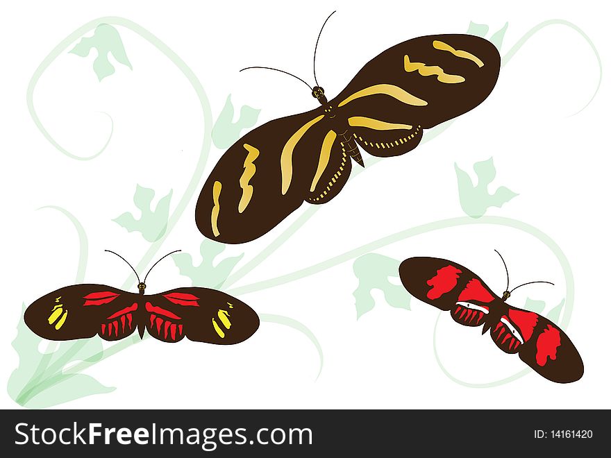 Illustration of three types of passion flower butterflies on transparent vine background. Illustration of three types of passion flower butterflies on transparent vine background.