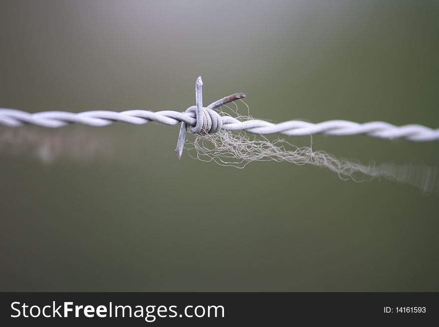 Barbed wire with hair on grey background