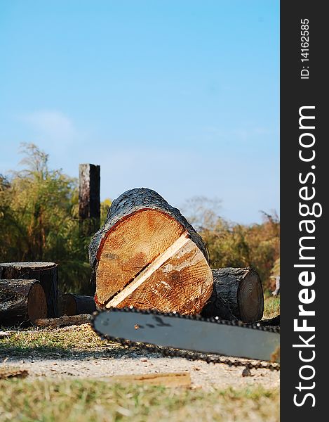 Chainsaw laying on ground in front of log. Chainsaw laying on ground in front of log.