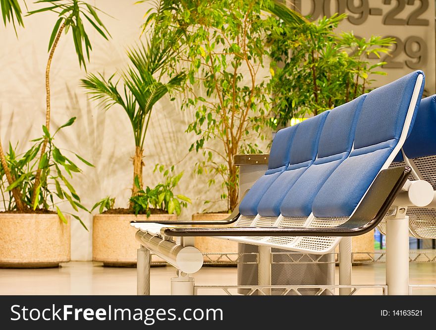 Waiting room of an airport with armchairs and plant