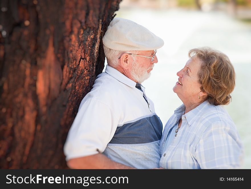 Happy Senior Couple Enjoying Each Other in The Park. Happy Senior Couple Enjoying Each Other in The Park.